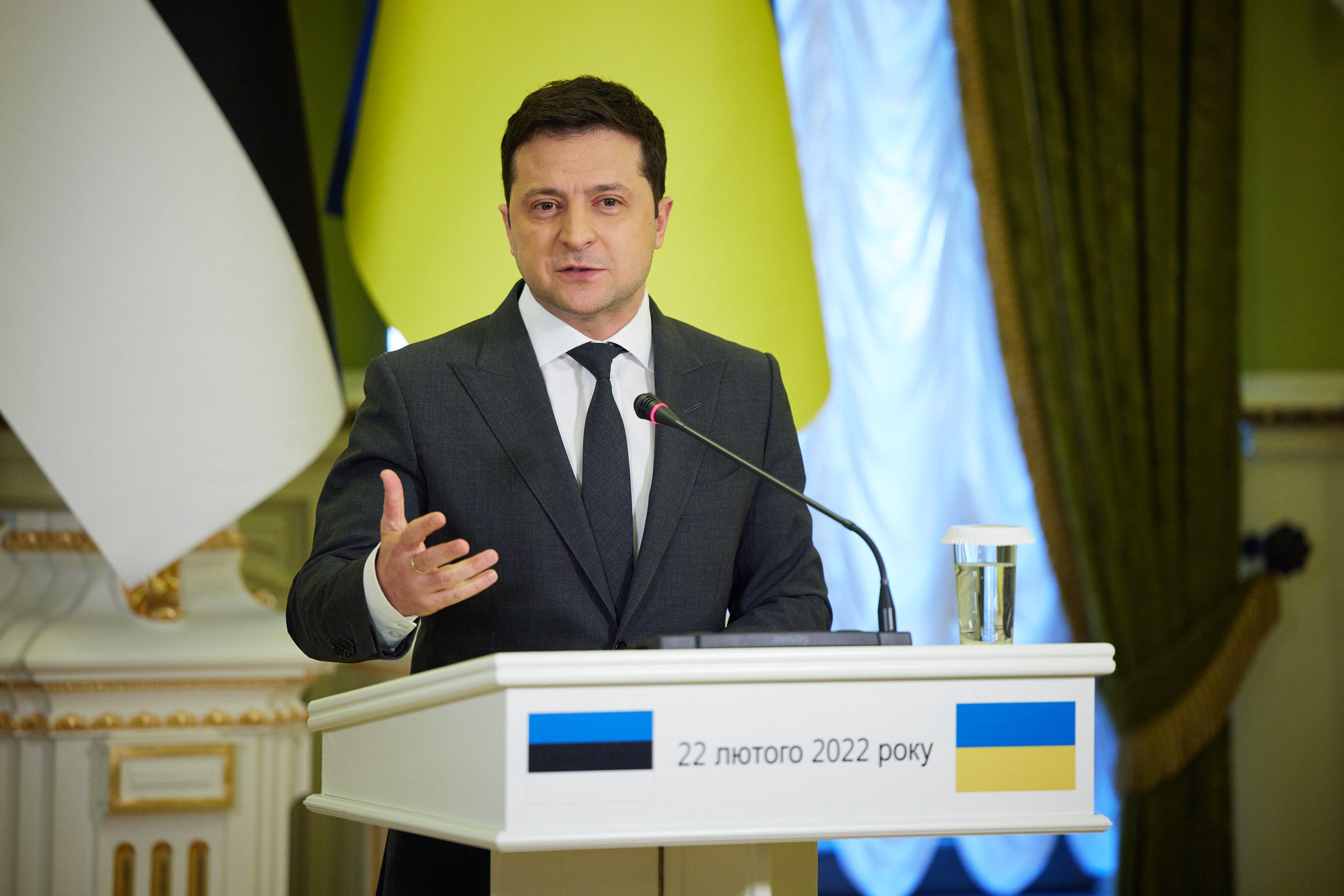 Presidents of Ukraine and Estonia began their meeting in Kyiv ...